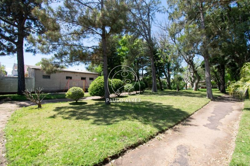 Jardin arbolado