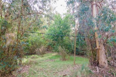 Venta  Maldonado Bella Vista