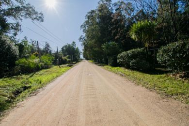 Venda  Maldonado Bella Vista