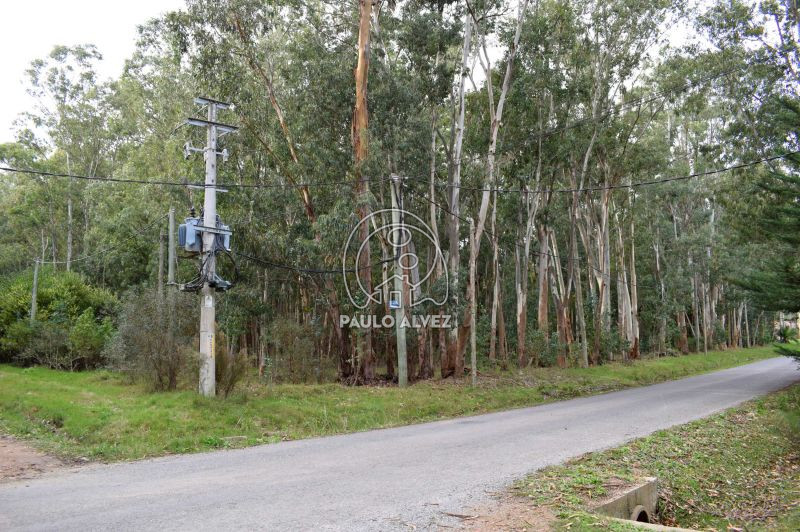 Terreno esquina