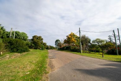 Venta  Maldonado Piripolis