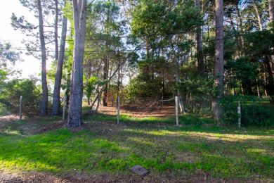 Venta  Maldonado Piripolis