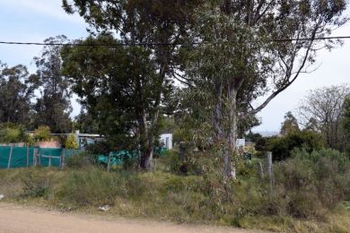 Venta  Maldonado Playa Verde