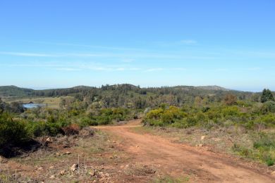 Venta  Maldonado Piripolis