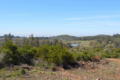 Venta  Maldonado Piripolis