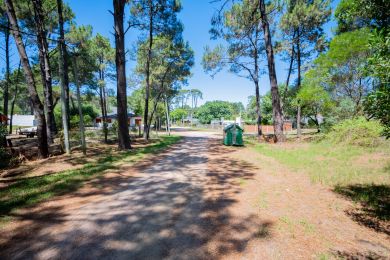 Venta  Maldonado Piripolis