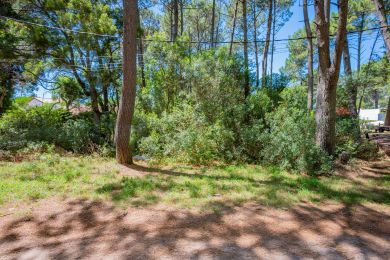 Venta  Maldonado Piripolis