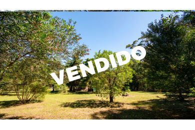 Venta  Maldonado Bella Vista
