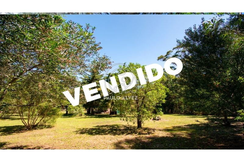 Vendido