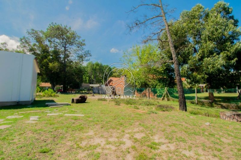 Prono para construir