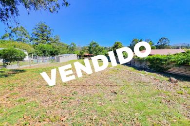 Venta  Maldonado Piripolis