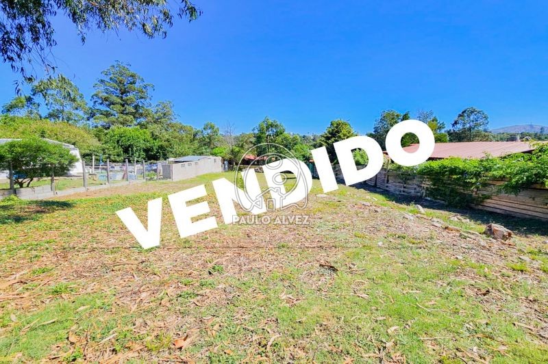 Vendido 