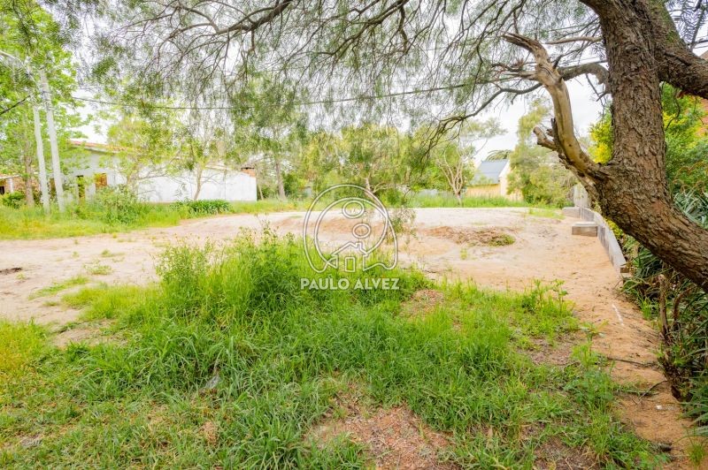 Alto a nivel de la calle 