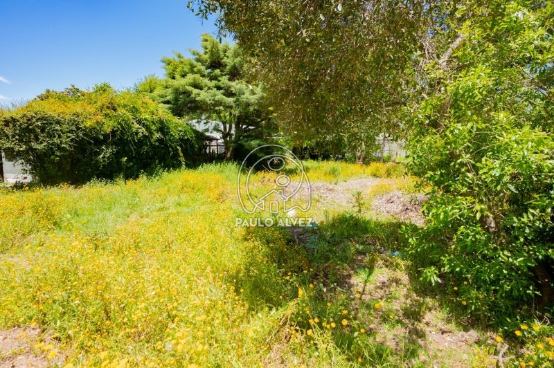 Tu pr&oacute;ximo proyecto 