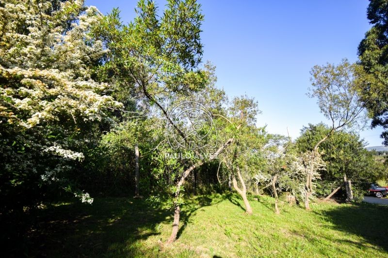 Rodeado de naturaleza 