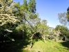 Rodeado de naturaleza 
