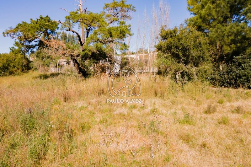 Zona en constante crecimiento 