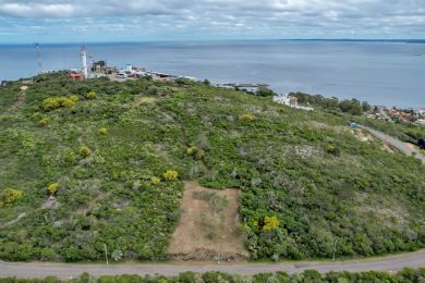 Venta  Maldonado Cerro San Antonio
