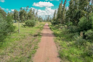 Venta  Maldonado Punta Colorada