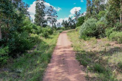 Venta  Maldonado Punta Colorada