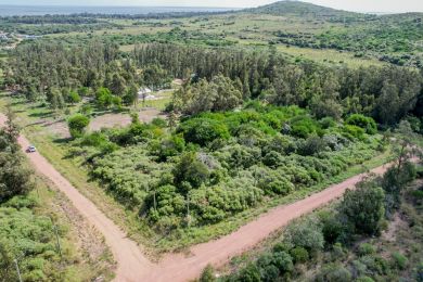 Venta  Maldonado Punta Colorada