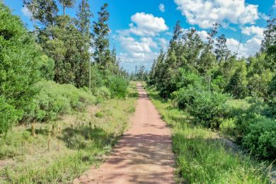 Venta  Maldonado Punta Colorada