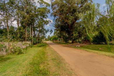 Venta  Maldonado Punta Negra