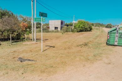 Venta  Maldonado Punta Negra