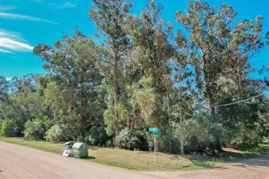 Venta  Maldonado Punta Negra