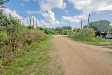 Venta  Maldonado Punta Negra
