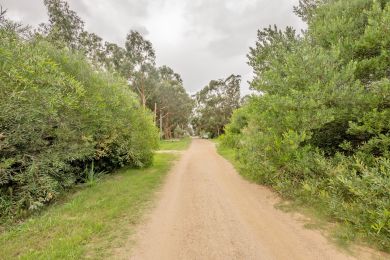 Venta  Maldonado Punta Negra