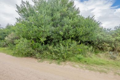 Venta  Maldonado Punta Negra