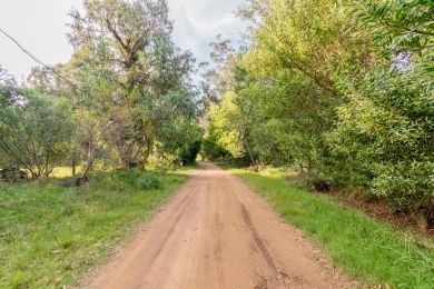 Venta  Maldonado Punta Negra