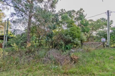 Venta  Maldonado Punta Negra