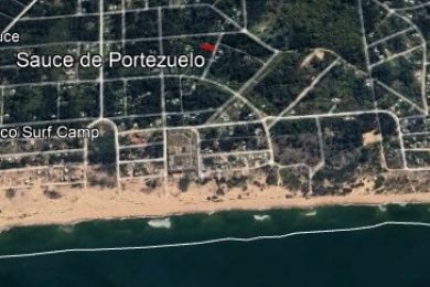 Venta  Maldonado Sauce De Portezuelo