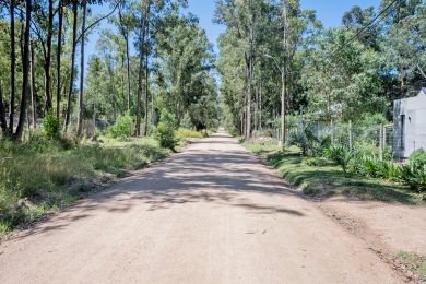 Venta  Maldonado Sauce De Portezuelo