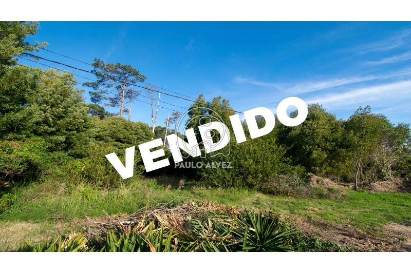 Vendido